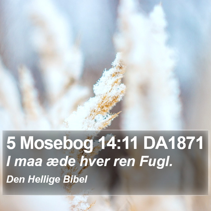 5 Mosebog 14:11 DA1871 Bible Study