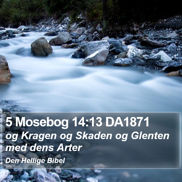 5 Mosebog 14:13 DA1871 Bible Study