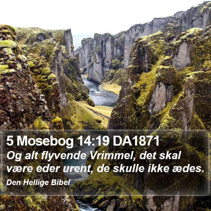 5 Mosebog 14:19 DA1871 Bible Study