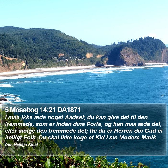 5 Mosebog 14:21 DA1871 Bible Study