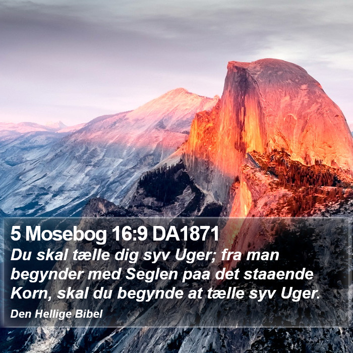 5 Mosebog 16:9 DA1871 Bible Study