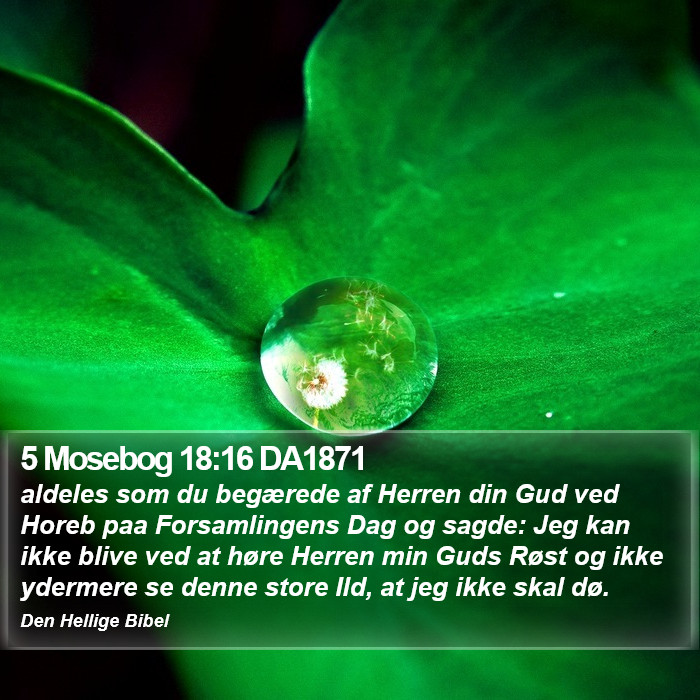 5 Mosebog 18:16 DA1871 Bible Study