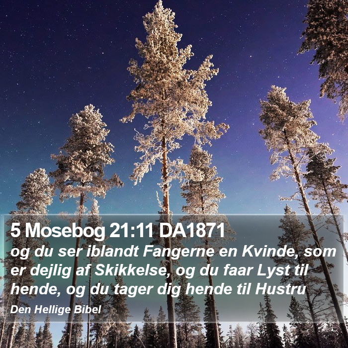 5 Mosebog 21:11 DA1871 Bible Study