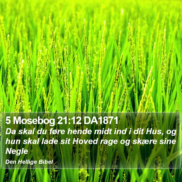 5 Mosebog 21:12 DA1871 Bible Study