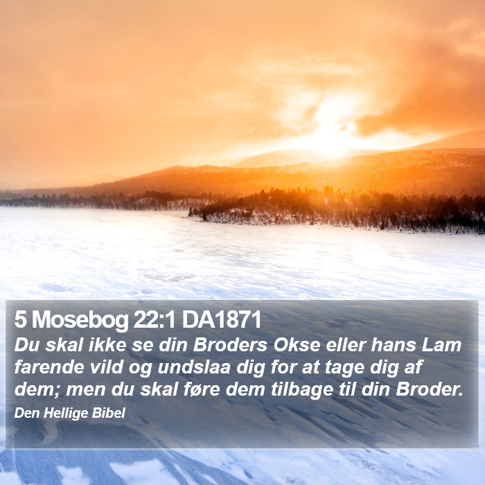 5 Mosebog 22:1 DA1871 Bible Study