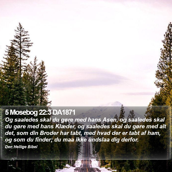 5 Mosebog 22:3 DA1871 Bible Study