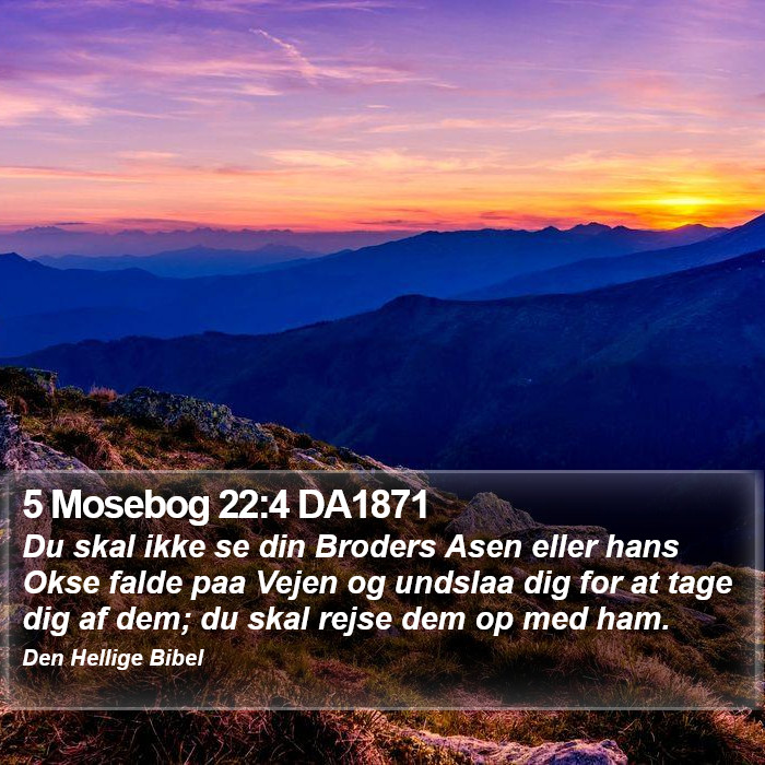 5 Mosebog 22:4 DA1871 Bible Study