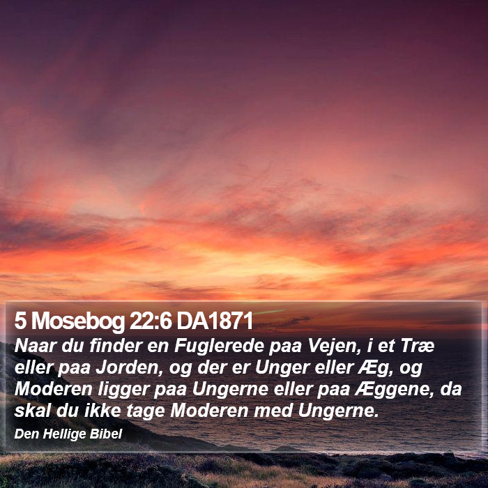 5 Mosebog 22:6 DA1871 Bible Study