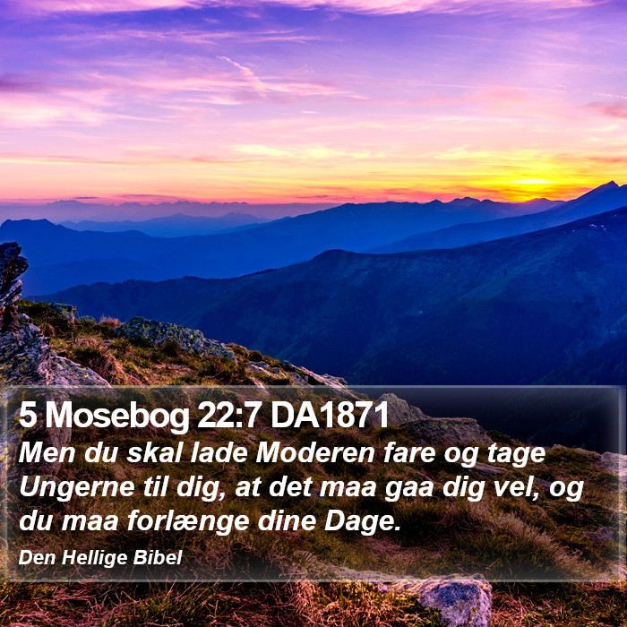 5 Mosebog 22:7 DA1871 Bible Study