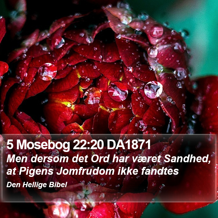 5 Mosebog 22:20 DA1871 Bible Study