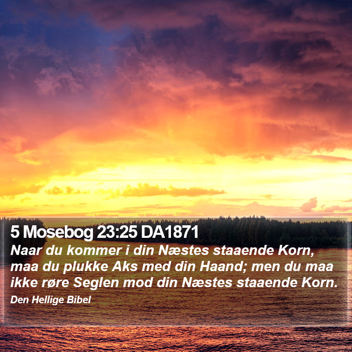 5 Mosebog 23:25 DA1871 Bible Study