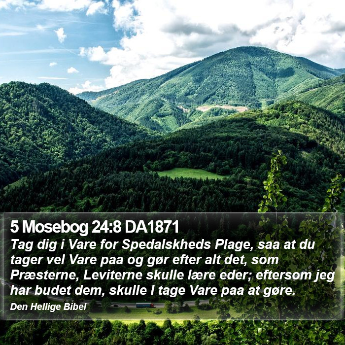 5 Mosebog 24:8 DA1871 Bible Study