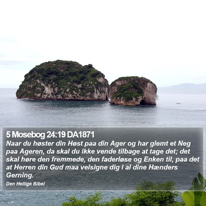 5 Mosebog 24:19 DA1871 Bible Study