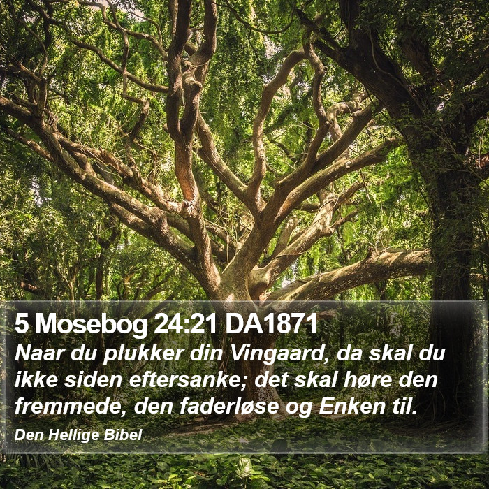 5 Mosebog 24:21 DA1871 Bible Study