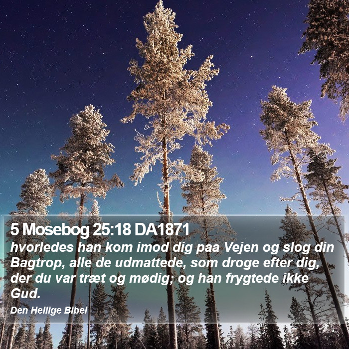 5 Mosebog 25:18 DA1871 Bible Study