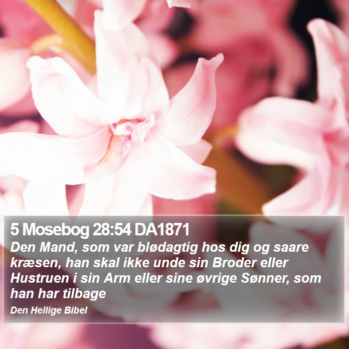 5 Mosebog 28:54 DA1871 Bible Study