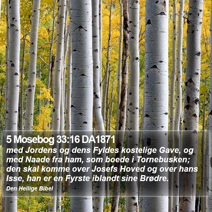 5 Mosebog 33:16 DA1871 Bible Study