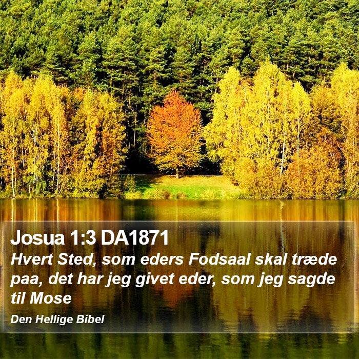 Josua 1:3 DA1871 Bible Study