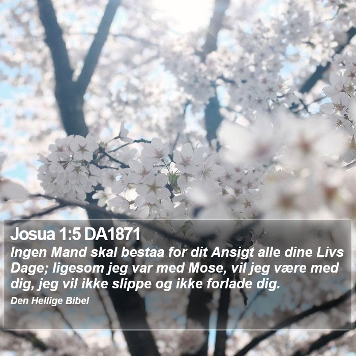 Josua 1:5 DA1871 Bible Study