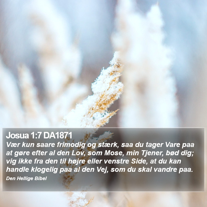 Josua 1:7 DA1871 Bible Study