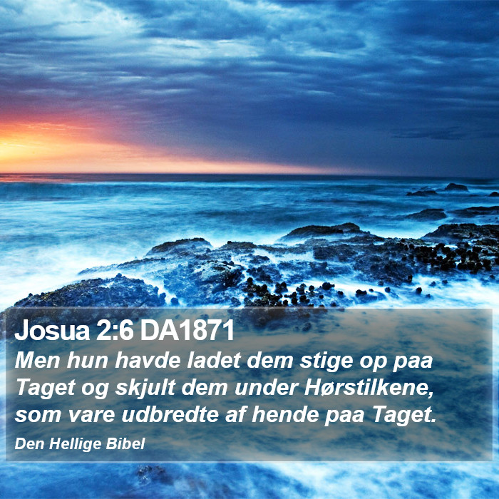 Josua 2:6 DA1871 Bible Study