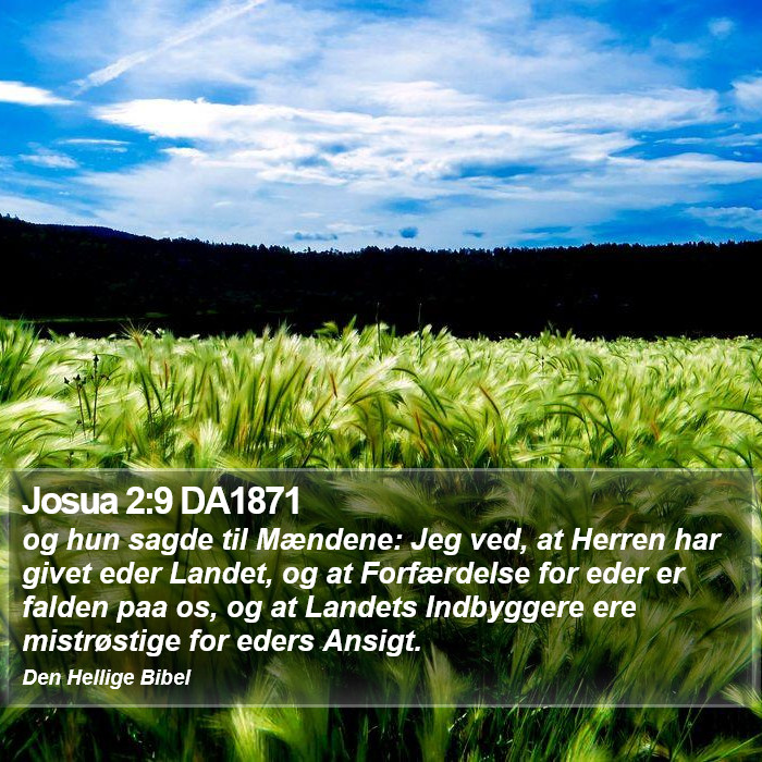 Josua 2:9 DA1871 Bible Study
