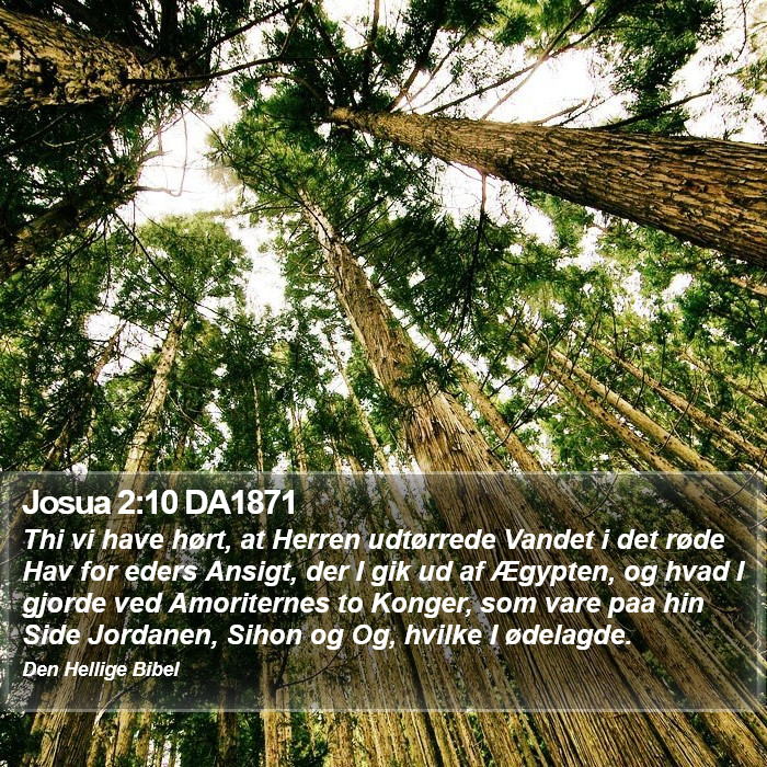 Josua 2:10 DA1871 Bible Study