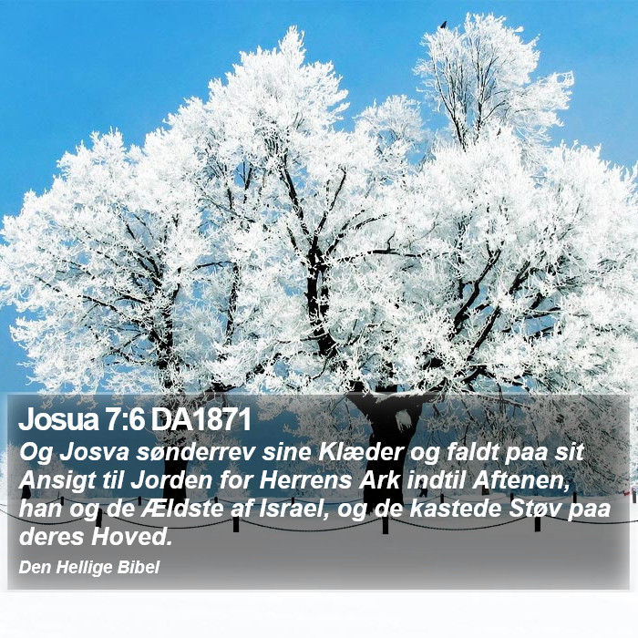 Josua 7:6 DA1871 Bible Study