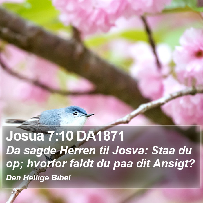Josua 7:10 DA1871 Bible Study