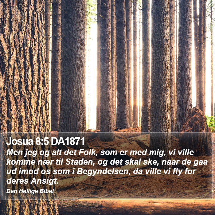 Josua 8:5 DA1871 Bible Study