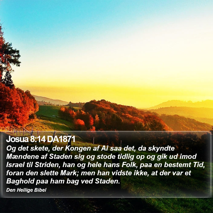 Josua 8:14 DA1871 Bible Study