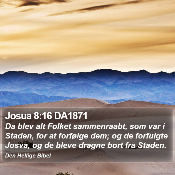 Josua 8:16 DA1871 Bible Study