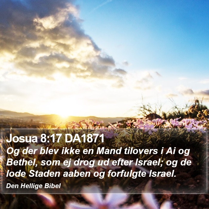 Josua 8:17 DA1871 Bible Study