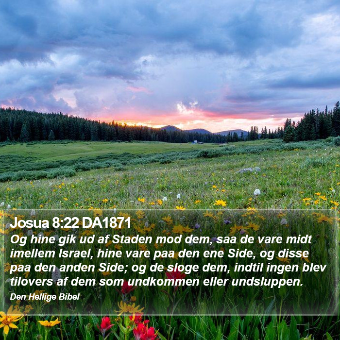 Josua 8:22 DA1871 Bible Study