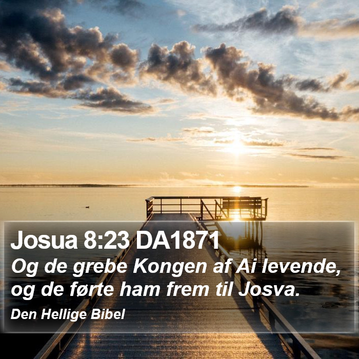 Josua 8:23 DA1871 Bible Study