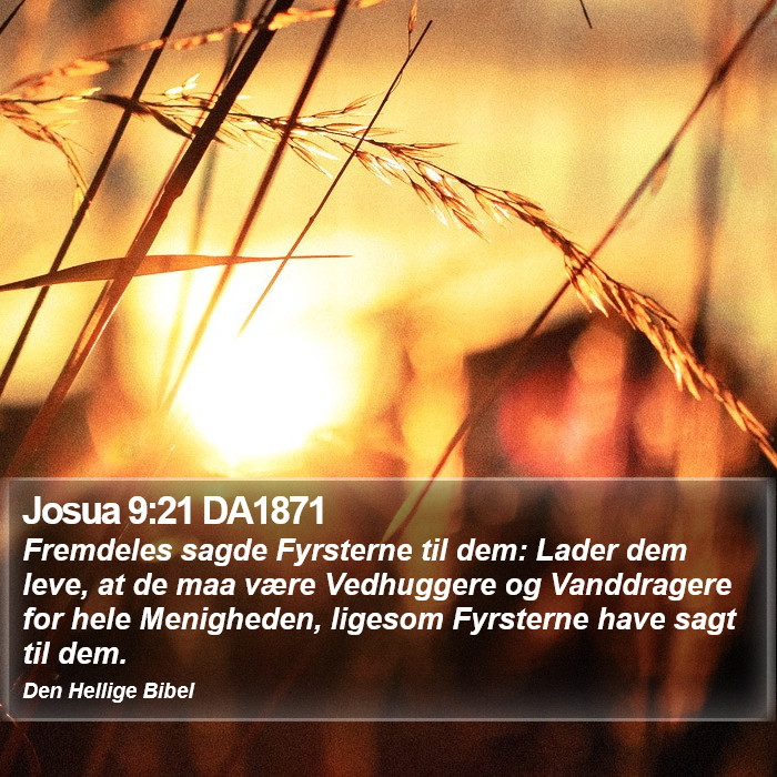 Josua 9:21 DA1871 Bible Study