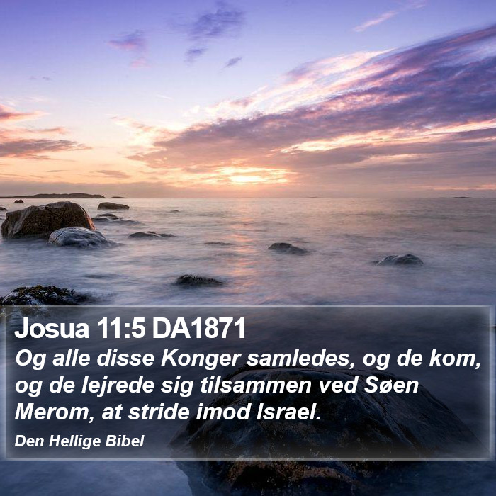 Josua 11:5 DA1871 Bible Study