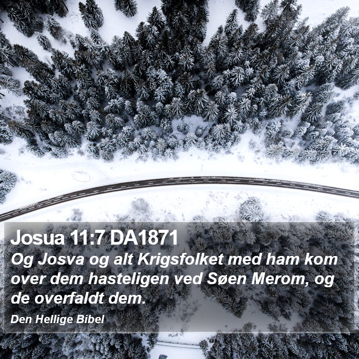 Josua 11:7 DA1871 Bible Study