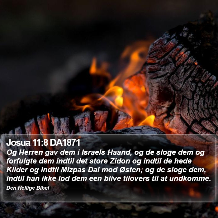 Josua 11:8 DA1871 Bible Study