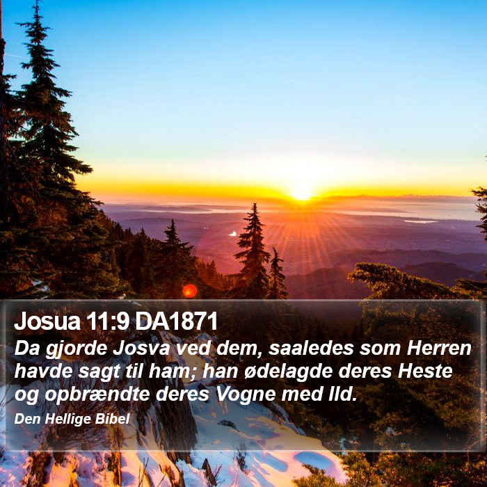 Josua 11:9 DA1871 Bible Study