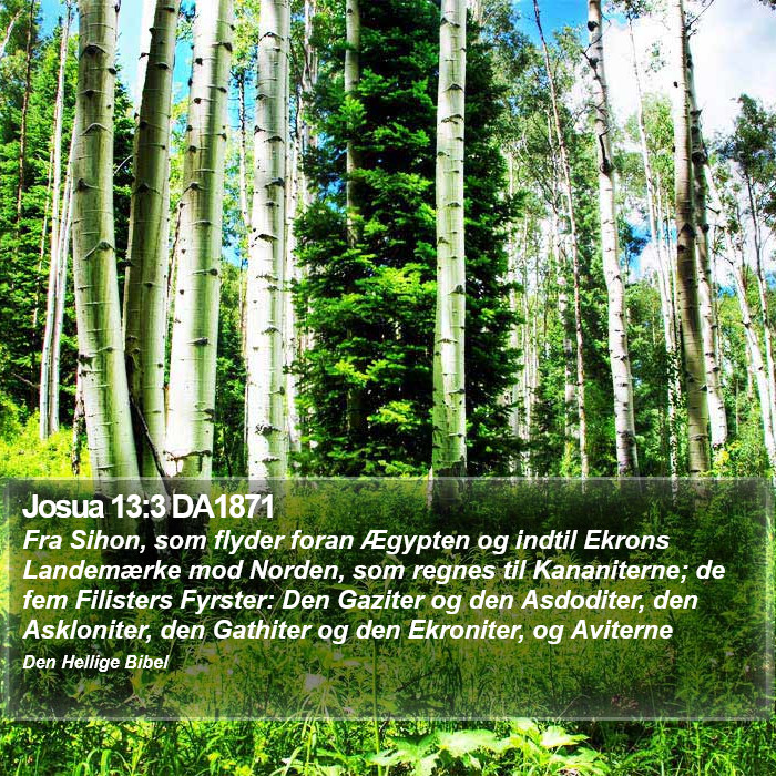Josua 13:3 DA1871 Bible Study