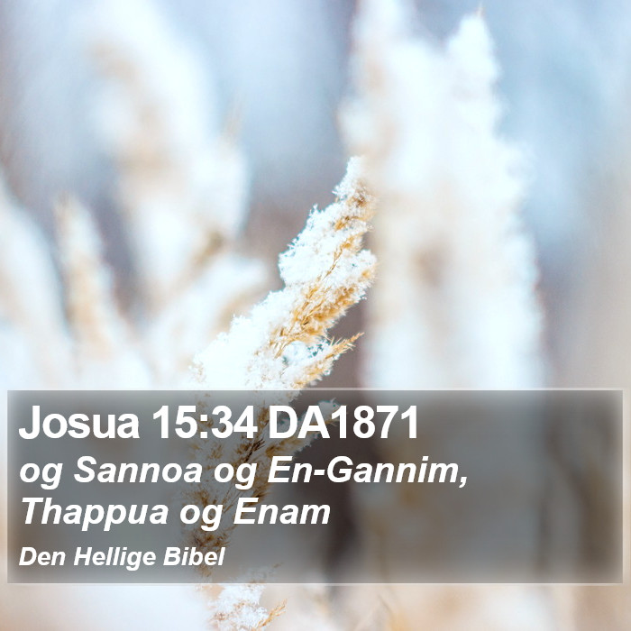 Josua 15:34 DA1871 Bible Study