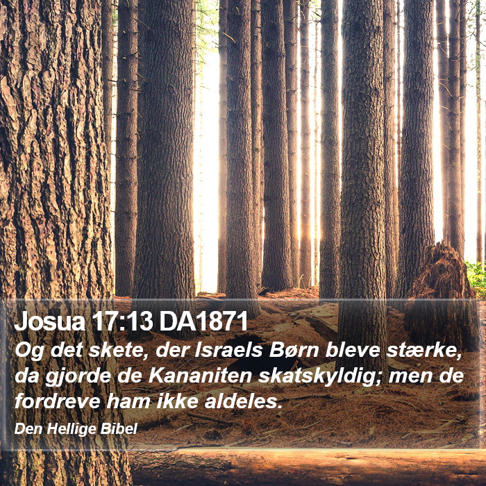 Josua 17:13 DA1871 Bible Study