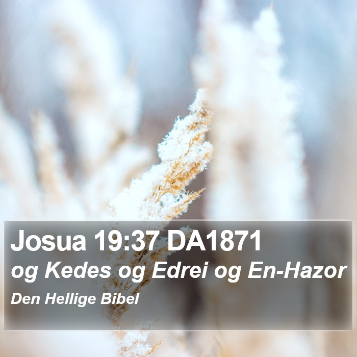 Josua 19:37 DA1871 Bible Study