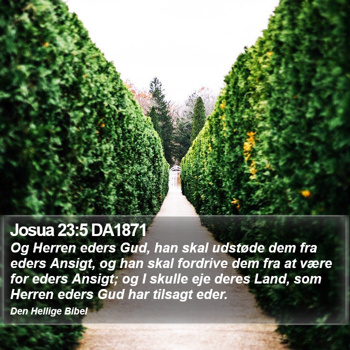 Josua 23:5 DA1871 Bible Study