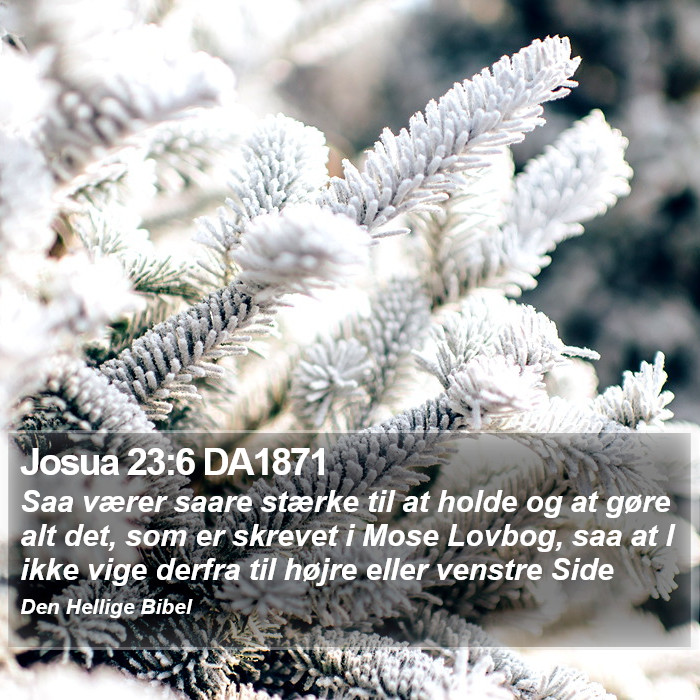 Josua 23:6 DA1871 Bible Study