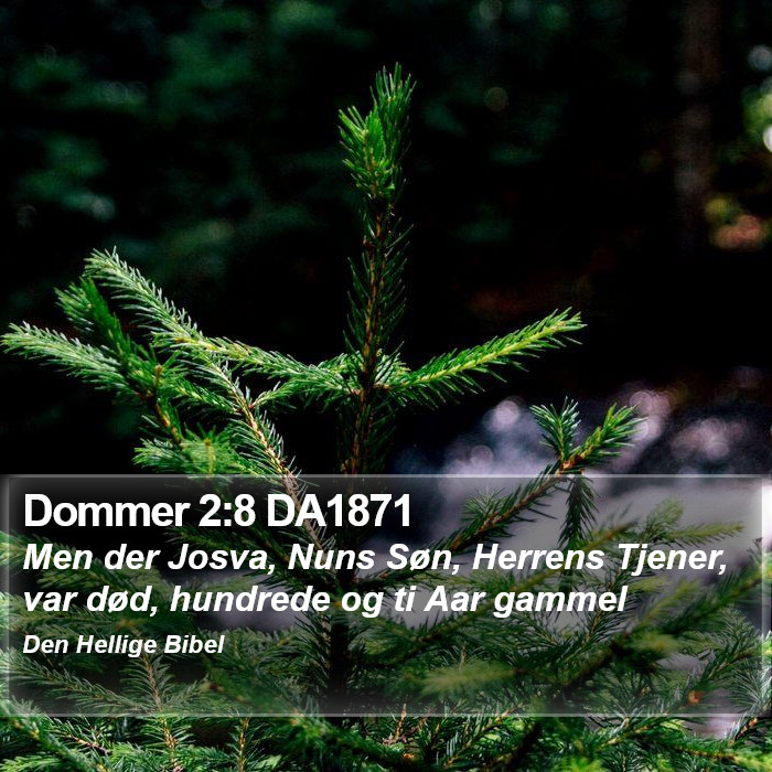 Dommer 2:8 DA1871 Bible Study