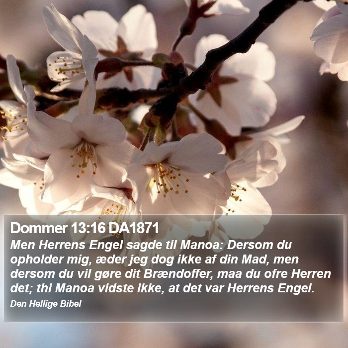 Dommer 13:16 DA1871 Bible Study