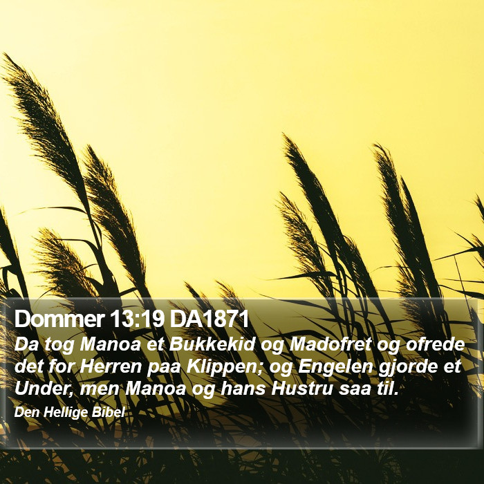 Dommer 13:19 DA1871 Bible Study