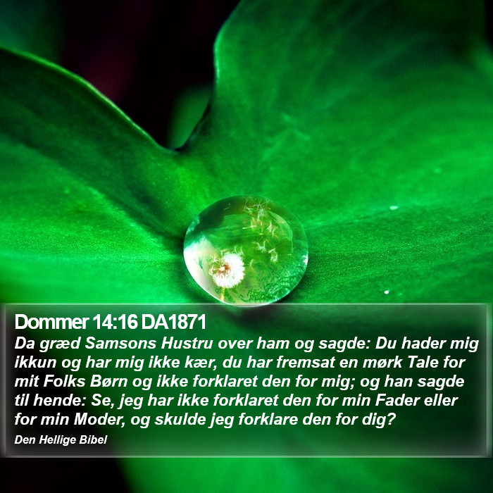 Dommer 14:16 DA1871 Bible Study